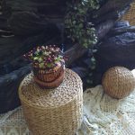 img_20160429_144556